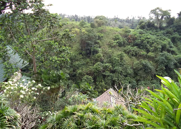 Sunrise 3* Ubud (Bali)